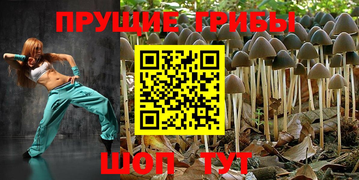Ижевск  Псилоцибиновые грибы Psilocybe  Вход с VPN 